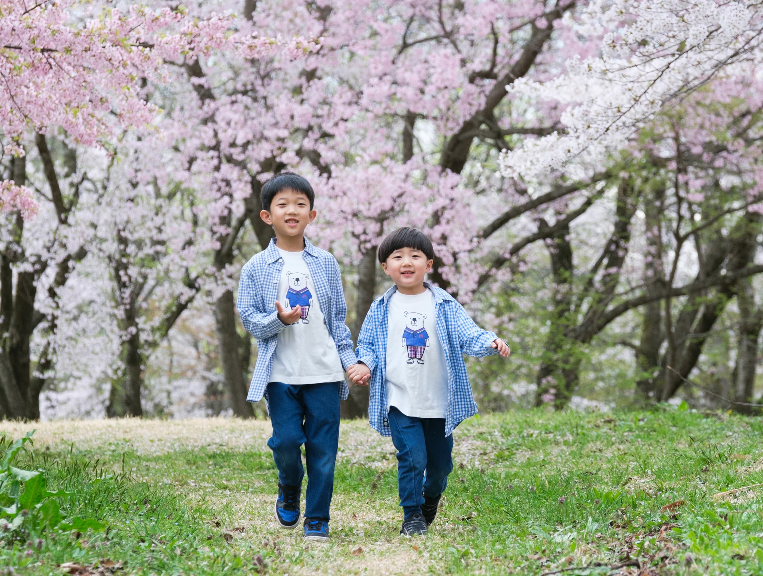 桜で家族のロケーションフォトとキッズのロケーション写真  