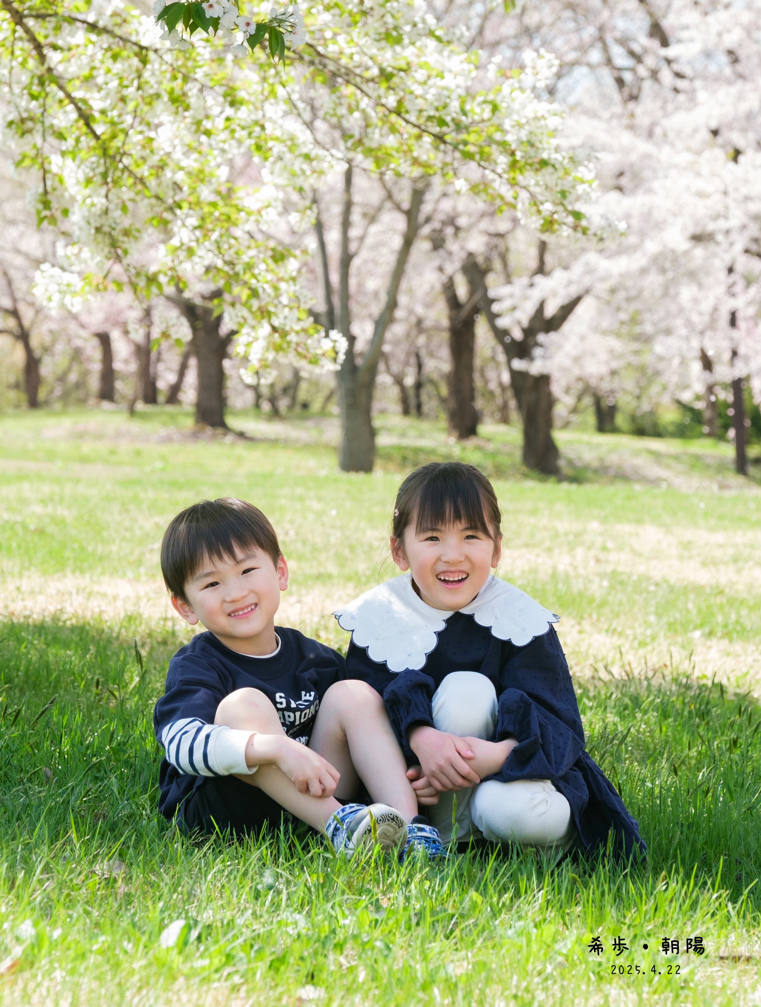 桜で家族のロケーションフォトとキッズのロケーション写真  