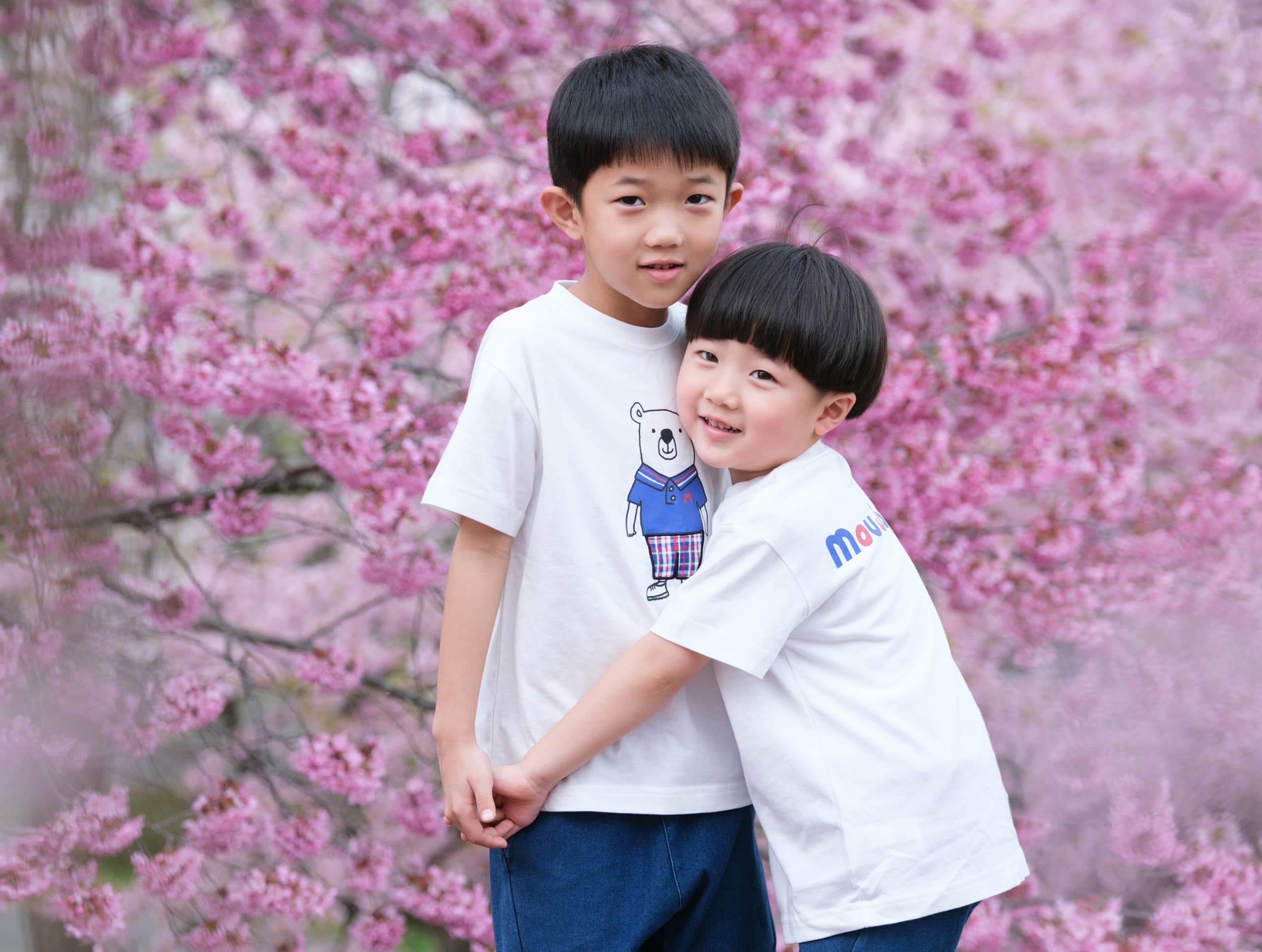 桜で家族のロケーションフォトとキッズのロケーション写真  