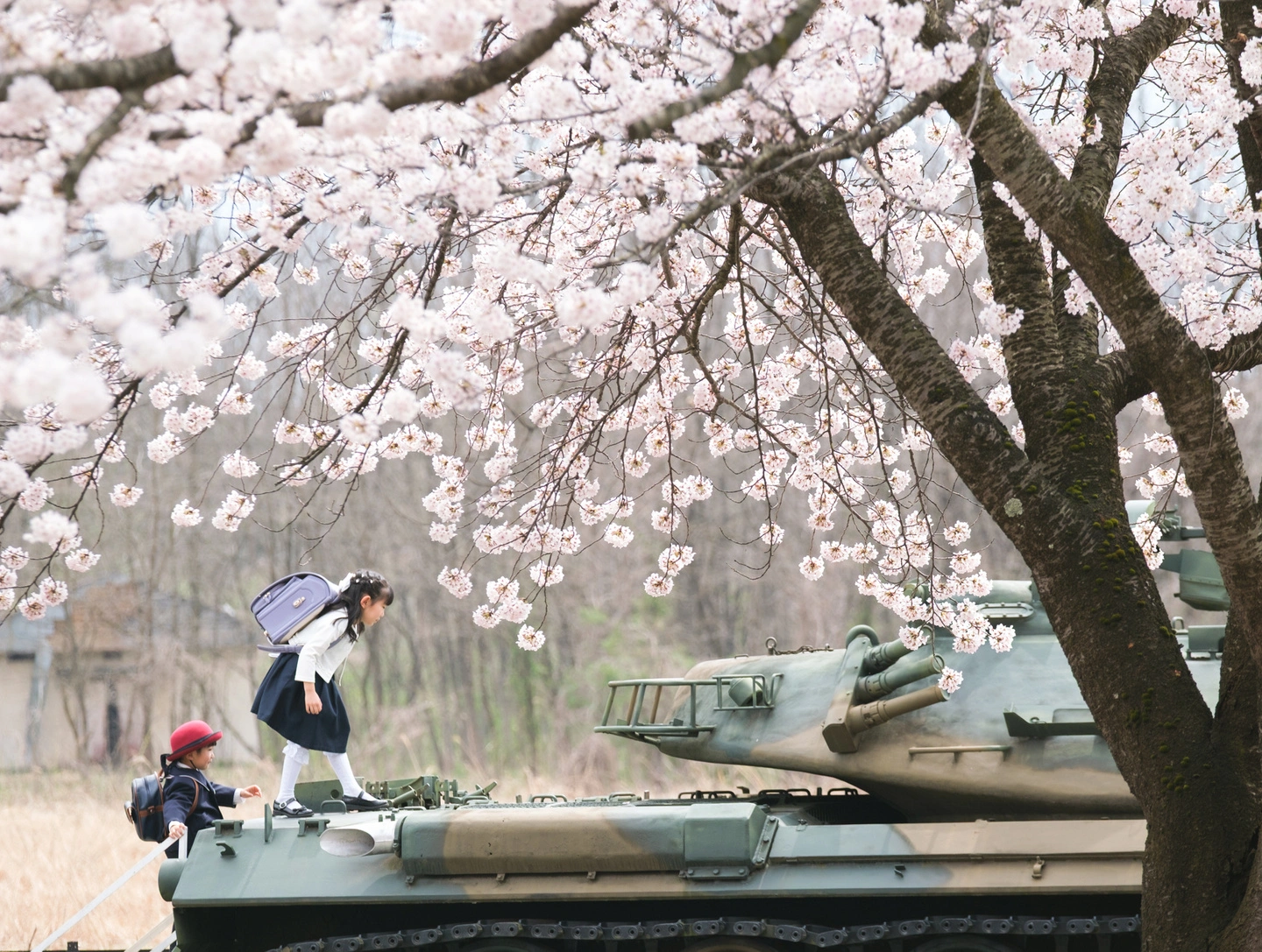 桜ふぉと