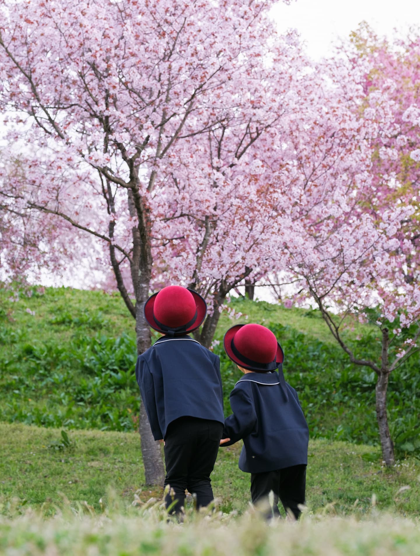山形県東根市の写真スタジオ