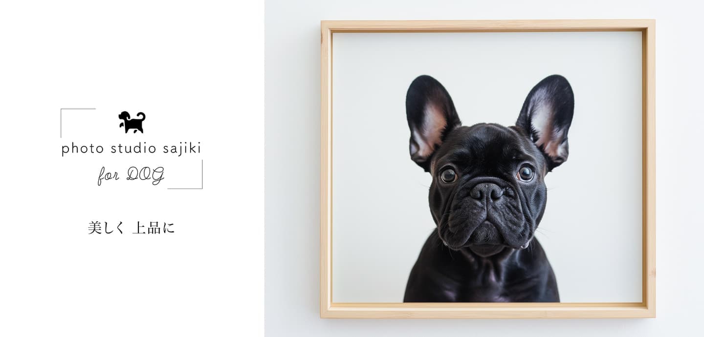 わんこふぉと,dog,dogphoto,ペット