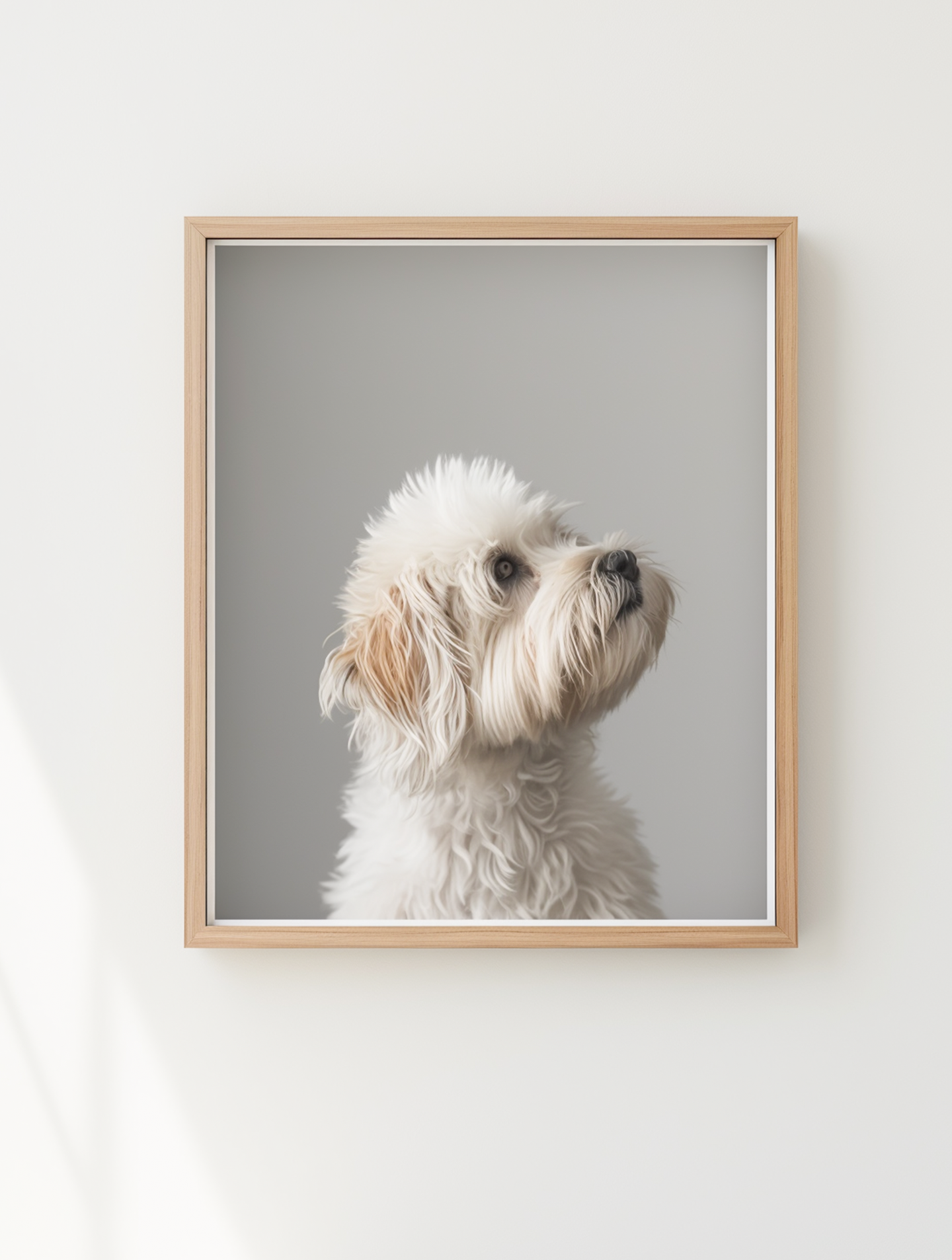 わんこふぉと,dog,dogphoto,ペット