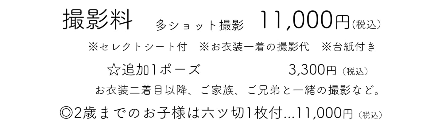 写真撮影料金