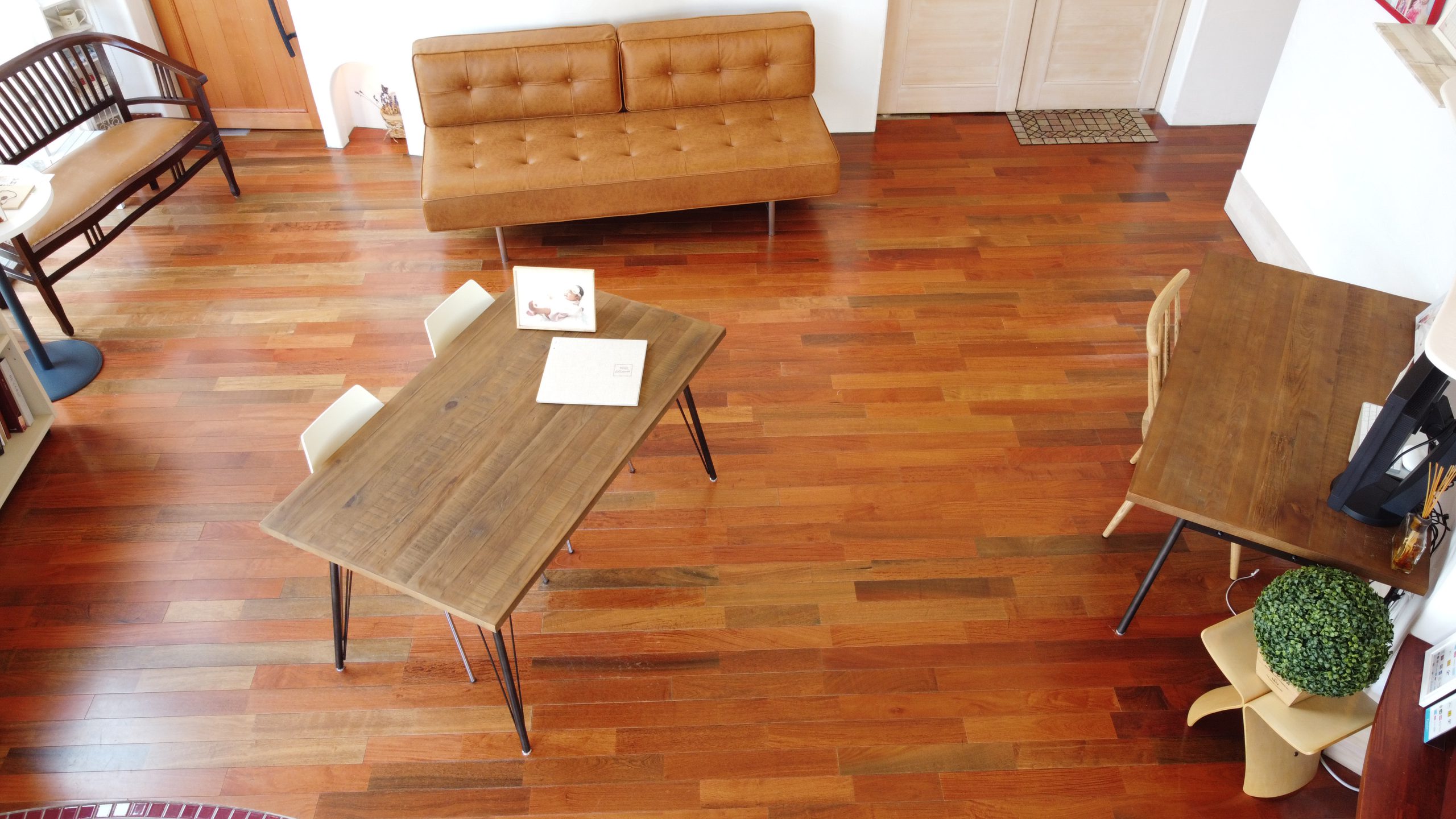 佐直写真館のお知らせ・最新情報｜撮影イベント・山形県東根市